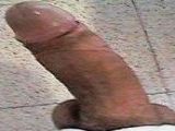 My 21 cm long dick