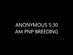 Anonymous Late Night Breeding